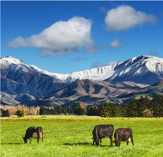 NEW ZEALAND