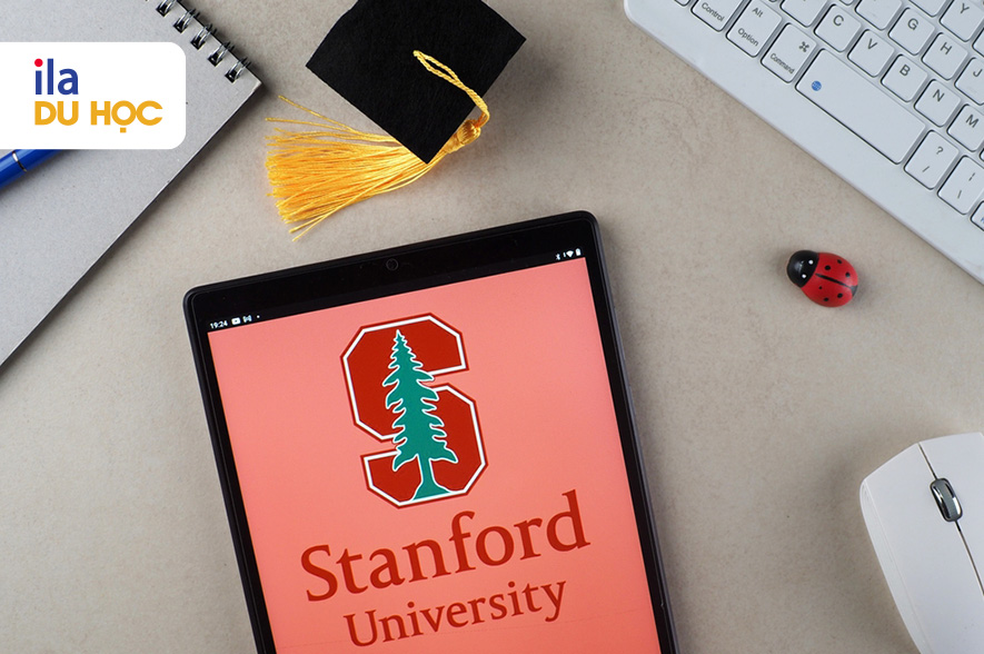 Trường Đại học Stanford năm 2025: Thông tin từ A-Z