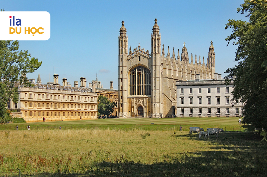Đại học Cambridge có ngành gì nổi bật? 
