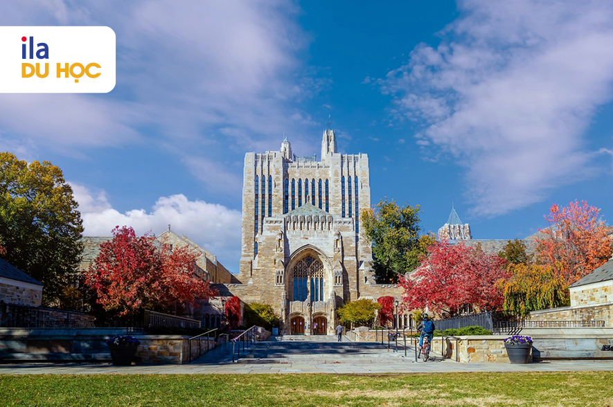 Đại học Yale university