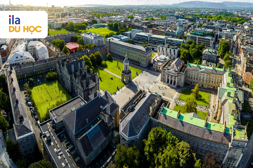 Du học Ireland nên học ngành gì? 