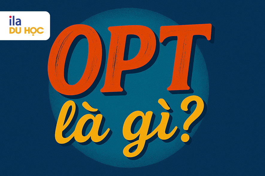 OPT là gì? Tại sao cần quan tâm đến OPT khi du học Mỹ?