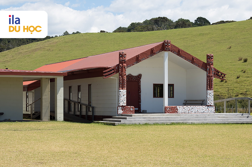 Khu nhà hội – Trung tâm tinh thần và cộng đồng của người Maori